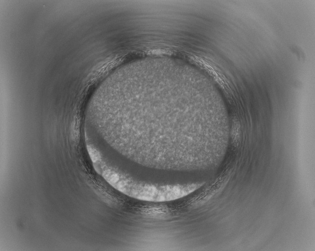 X0000115400402200912151524