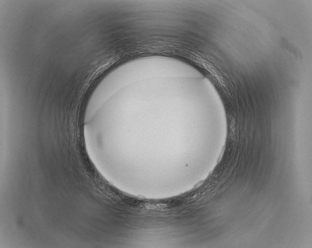 X0000115400403200912151524