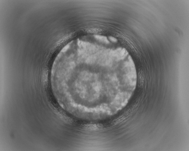 X0000115400404200912151524