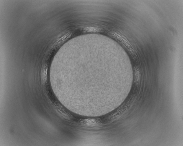 X0000115400406200912151524