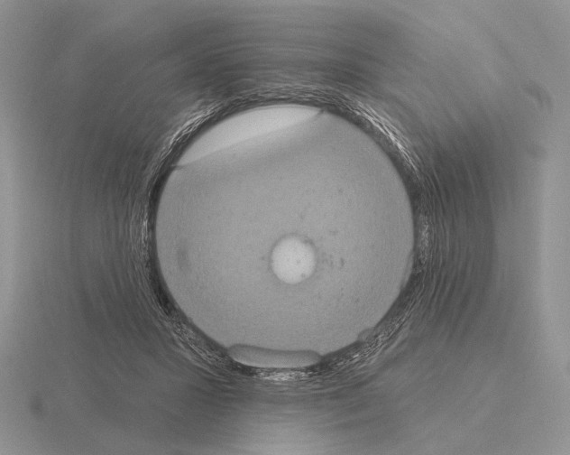 X0000115400407200912151524