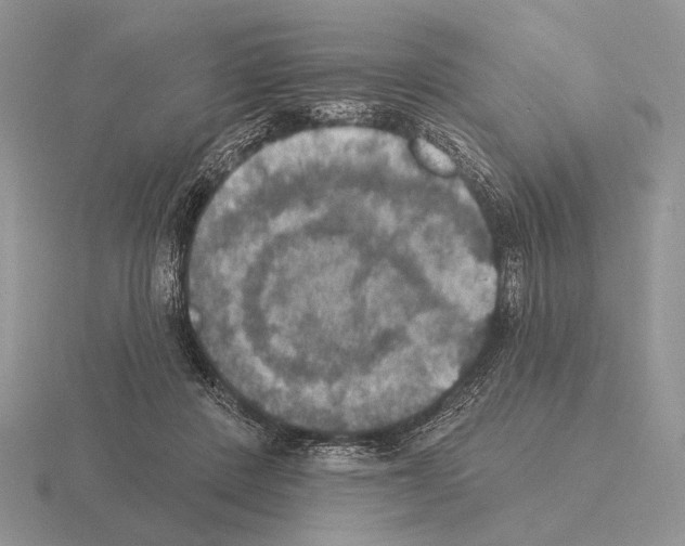 X0000115400408200912151524