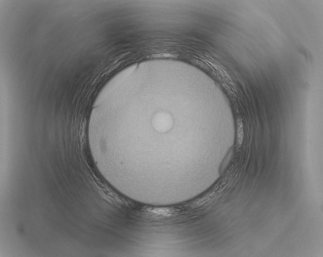 X0000115400409200912151524