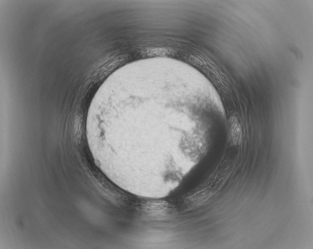 X0000115400410200912151524