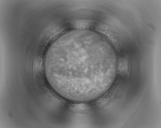 X0000115400411200912151524