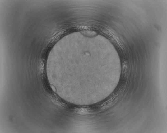 X0000115400412200912151524