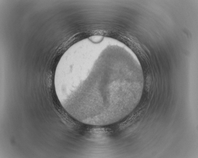 X0000115400413200912151524