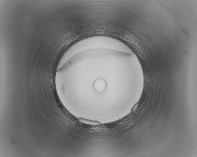 X0000115400415200912151524