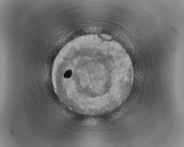 X0000115400416200912151524