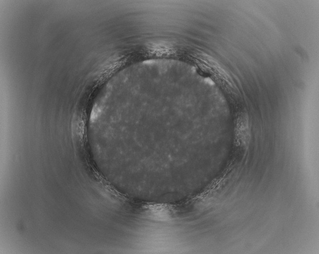 X0000115400417200912151524