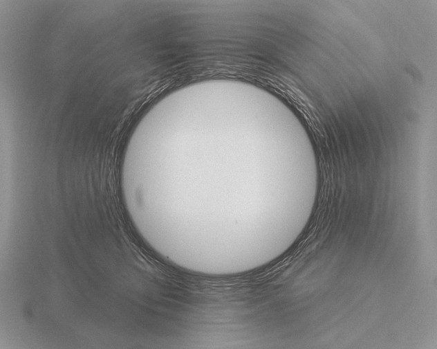 X0000115400419200912151524