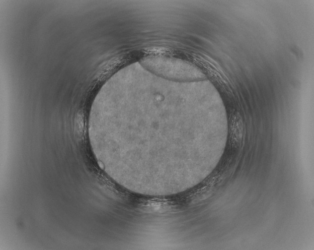 X0000115400420200912151524