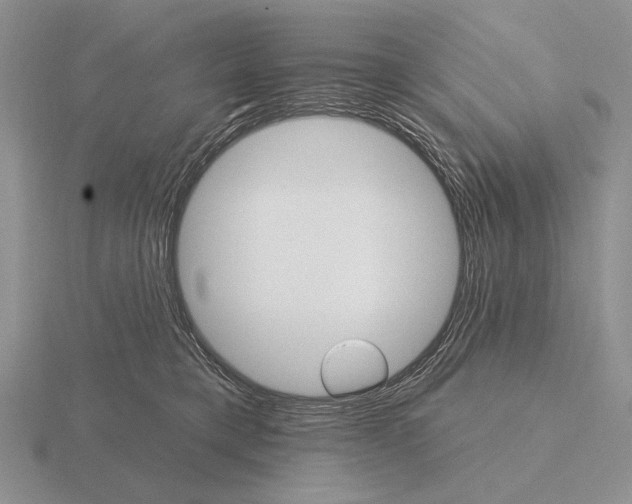 X0000115400421200912151524