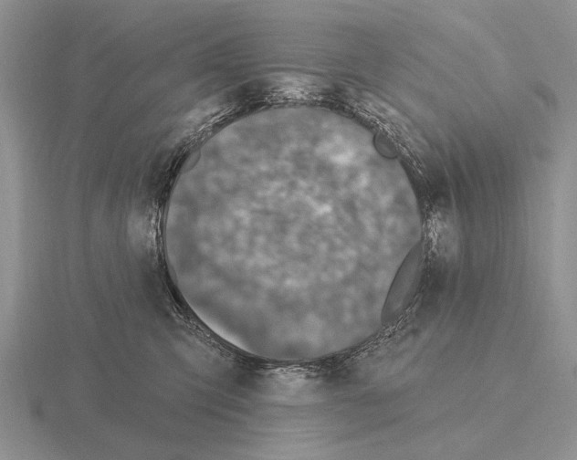 X0000115400423200912151524