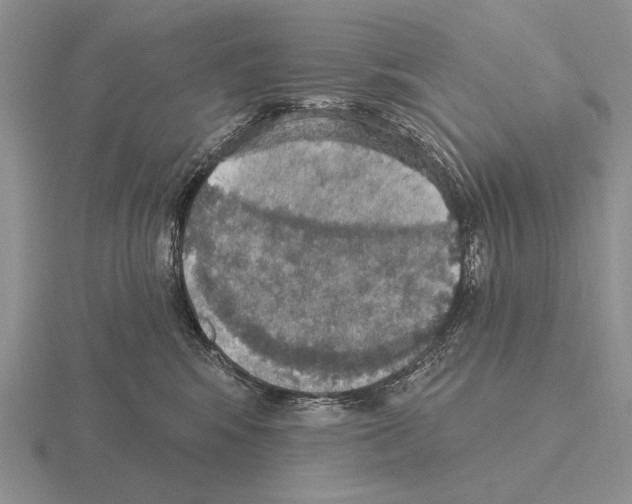 X0000115400424200912151524