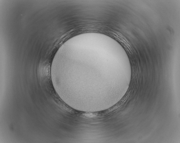 X0000115400425200912151524