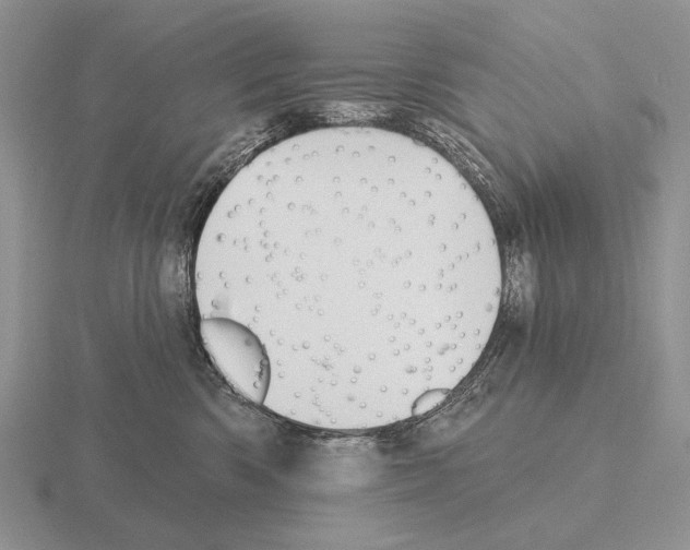 X0000115400426200912151524