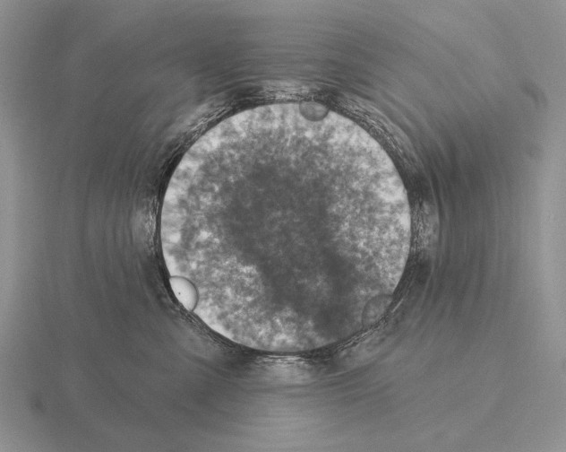 X0000115400427200912151524