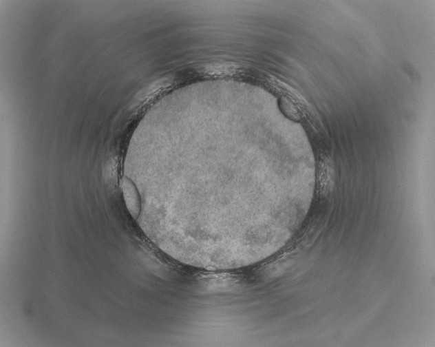 X0000115400428200912151524