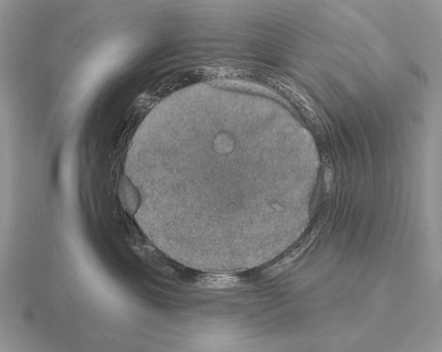 X0000115400429200912151524