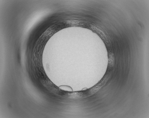 X0000115400430200912151524