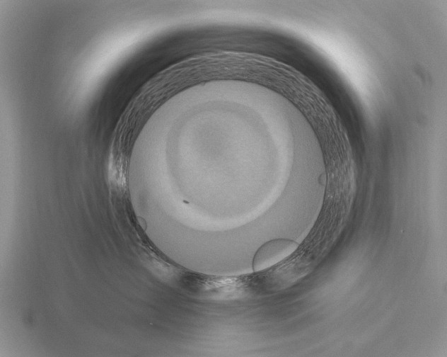 X0000115400431200912151524