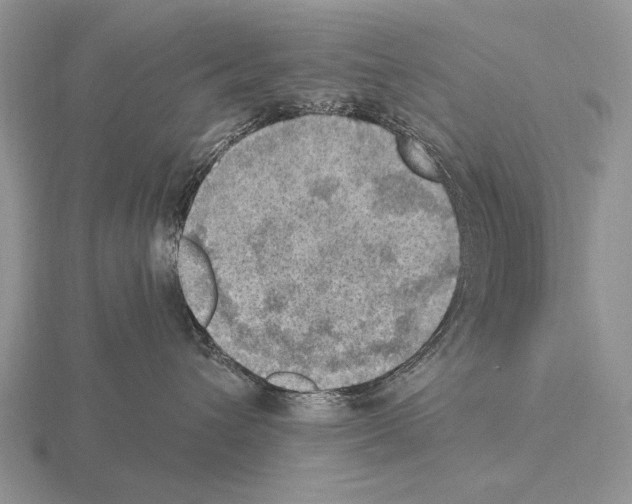 X0000115400432200912151524