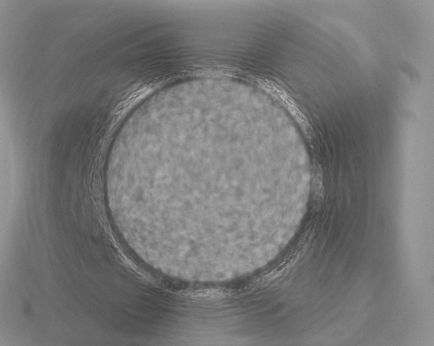 X0000115400433200912151523