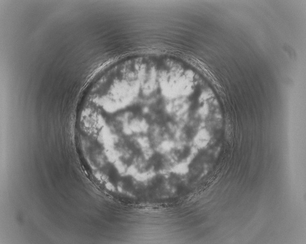 X0000115400434200912151523