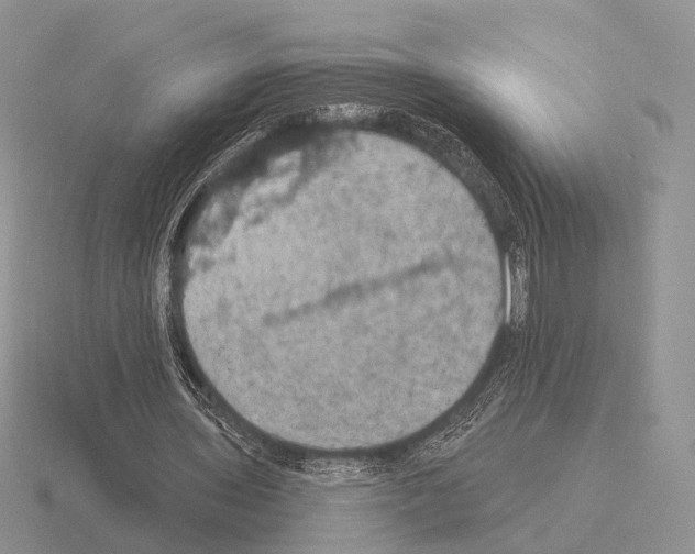 X0000115400435200912151523