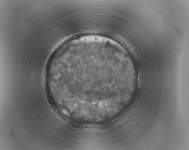 X0000115400436200912151523