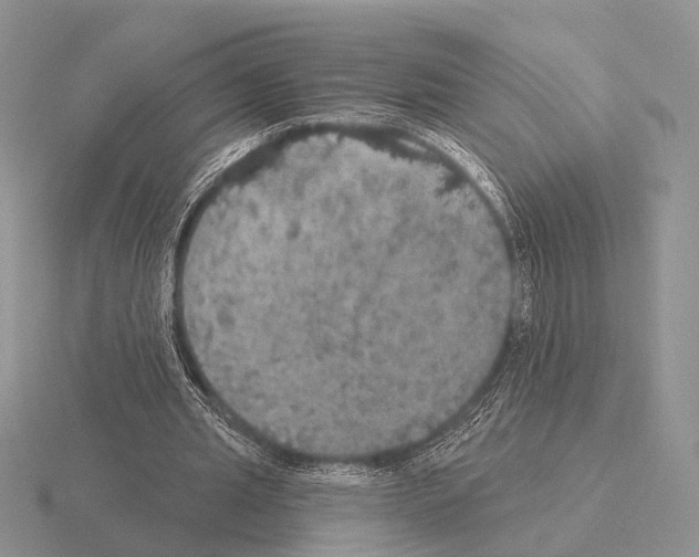 X0000115400437200912151523