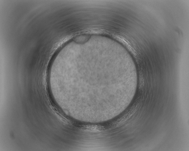 X0000115400439200912151523