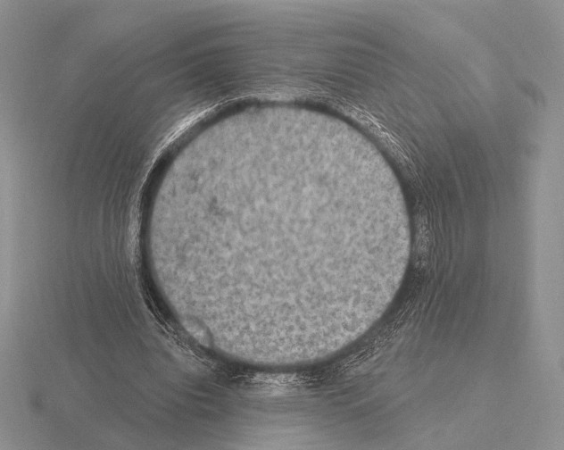 X0000115400440200912151523