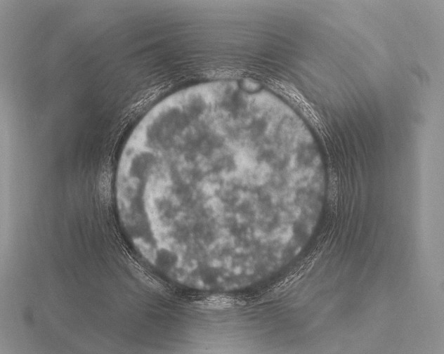 X0000115400441200912151523