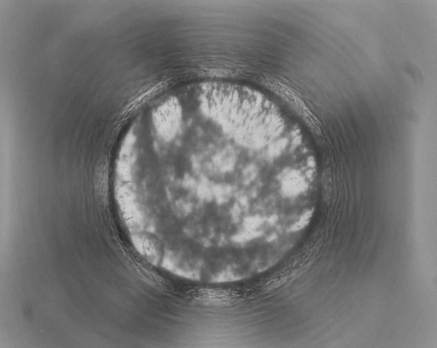 X0000115400442200912151523