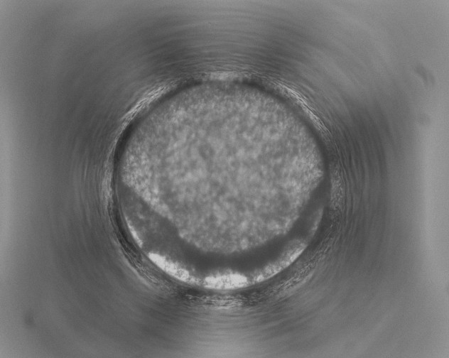 X0000115400443200912151523