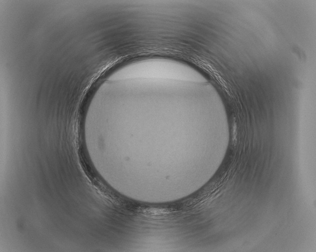 X0000115400444200912151523