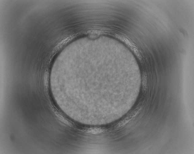 X0000115400445200912151523