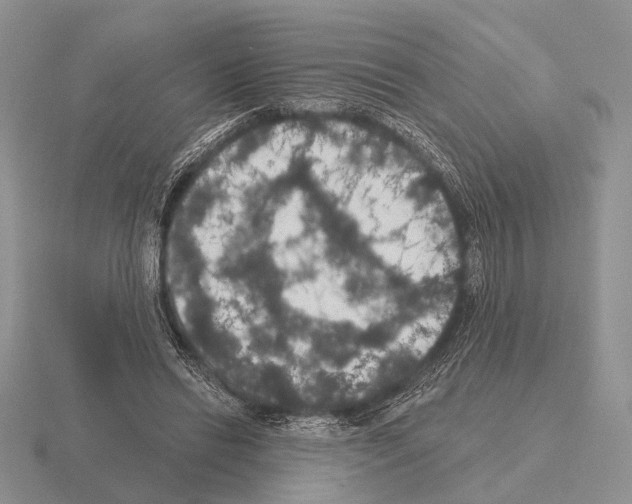 X0000115400446200912151523