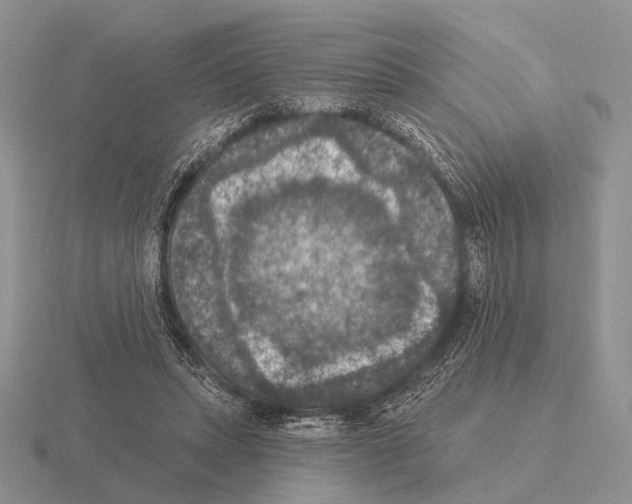 X0000115400447200912151523