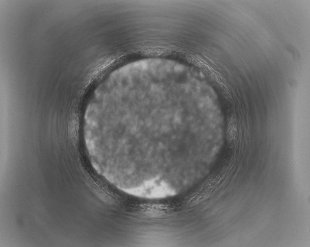 X0000115400448200912151523