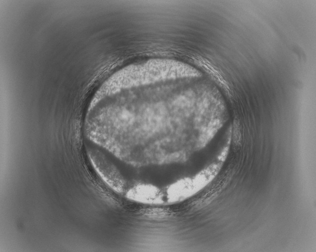 X0000115400449200912151524