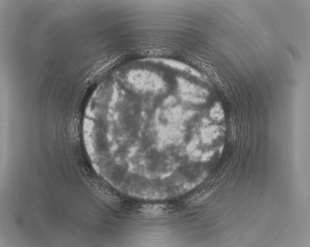 X0000115400450200912151524