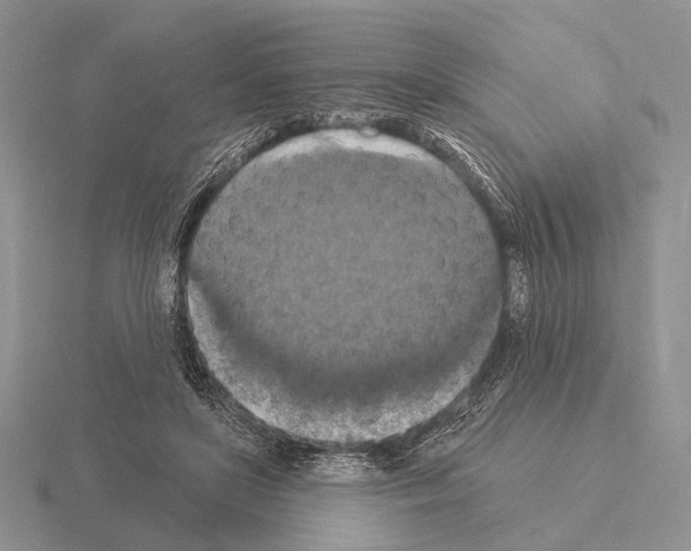 X0000115400451200912151524