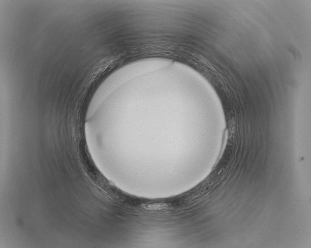 X0000115400452200912151524