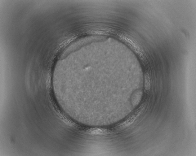 X0000115400453200912151524