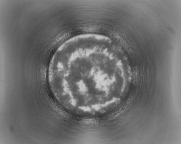 X0000115400454200912151524