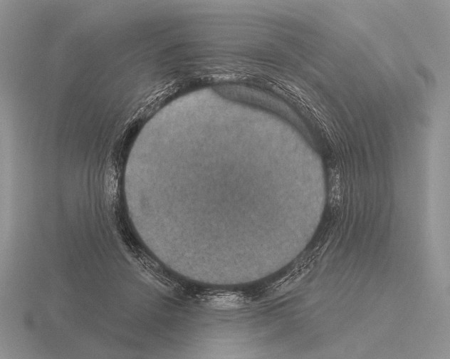 X0000115400456200912151524