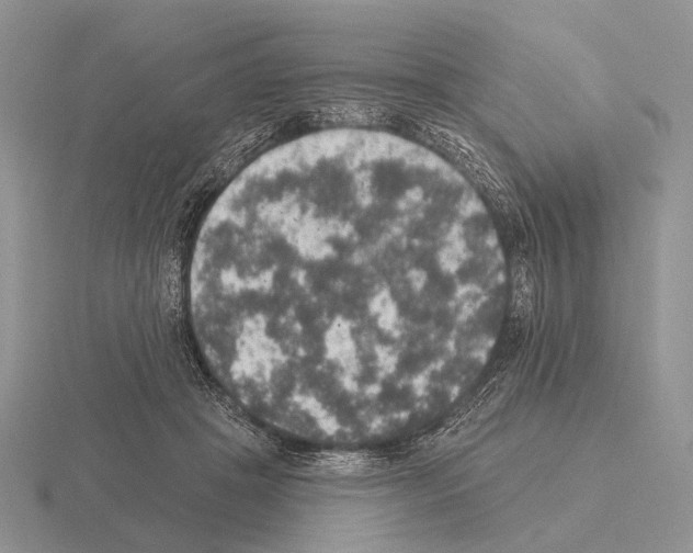 X0000115400457200912151524